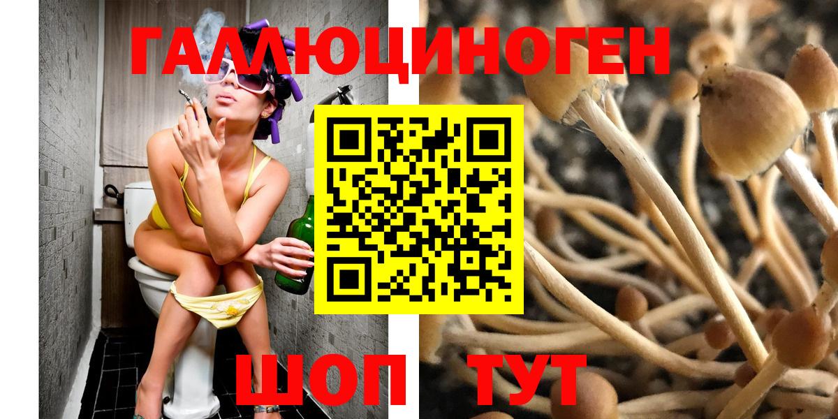 Псилоцибиновые грибы ЛСД  Вход с VPN  Галлюциногенные грибы ЛСД  Кириши 